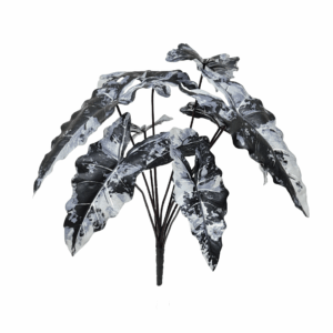 ALOCASIA (REAL TOUCH)