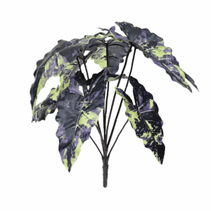 ALOCASIA (REAL TOUCH)