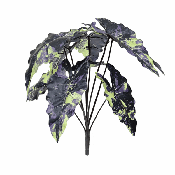 ALOCASIA (REAL TOUCH)