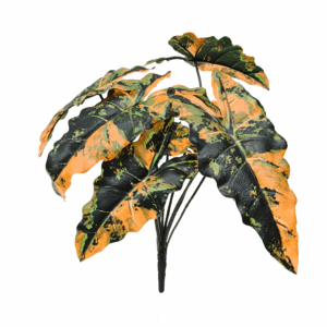 ALOCASIA (REAL TOUCH)