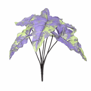 ALOCASIA (REAL TOUCH)