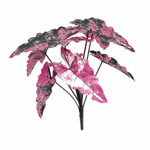 ALOCASIA (REAL TOUCH)