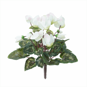 CYCALMEN BUSH (REAL TOUCH LEAF)