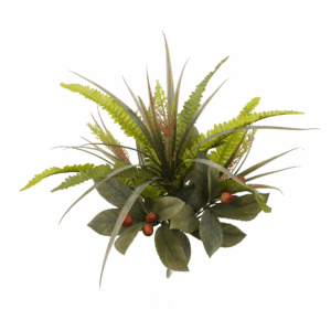 MIX BOSTON FERN