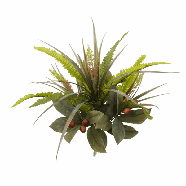 MIX BOSTON FERN