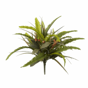 MIX BOSTON FERN