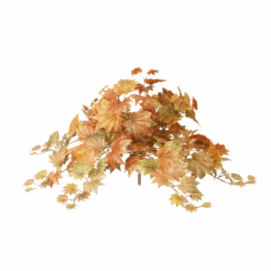 FALL MAPLE LEAF