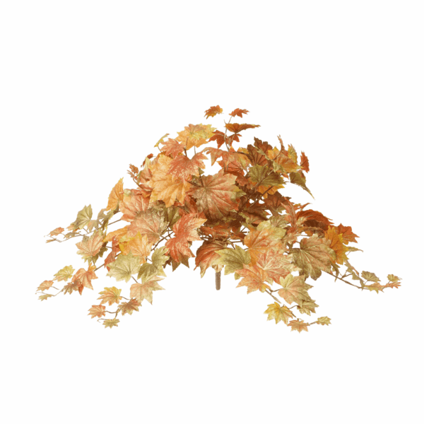 FALL MAPLE LEAF