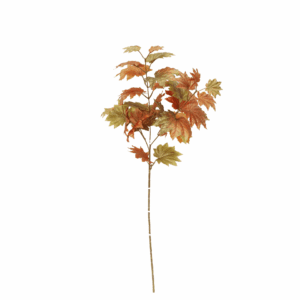 FALL MAPLE LEAF