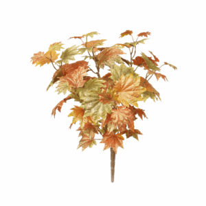 FALL MAPLE LEAF