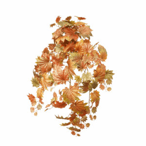 FALL MAPLE LEAF