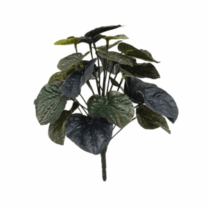 BEGONIA (REAL TOUCH)