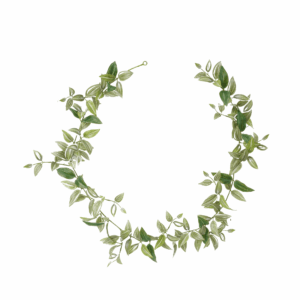 WANDERING JEW