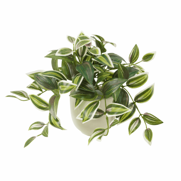 WANDERING JEW