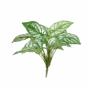 GREEN CALADIUM (REAL TOUCH)