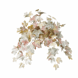 FALL MAPLE LEAF
