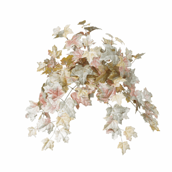 FALL MAPLE LEAF