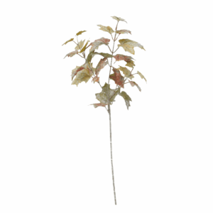 FALL MAPLE LEAF