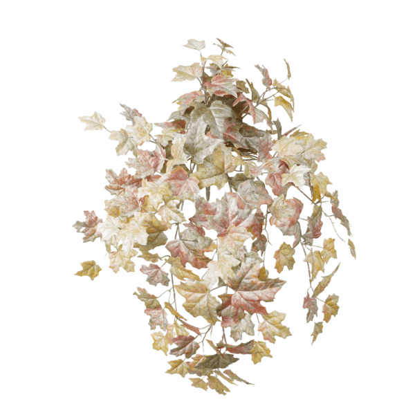 FALL MAPLE LEAF