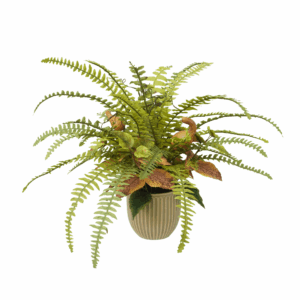 MIX FALL RUFFLE FERN