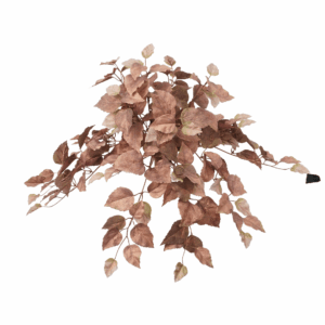 FALL ASPEN LEAF
