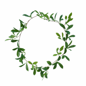 LAUREL LEAF