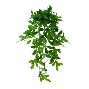 LAUREL LEAF