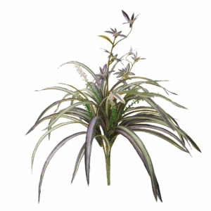 MIX SPIDER PLANT