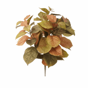 FALL HYDRANGEA LEAF