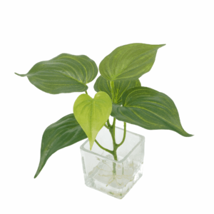 PHILODENDRON CREAM SPLASH (REAL TOUCH)