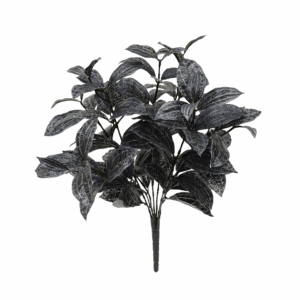 JEWEL ORCHID (REAL TOUCH)
