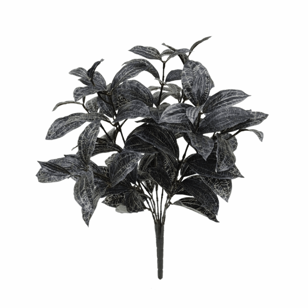 JEWEL ORCHID (REAL TOUCH)