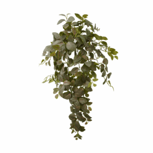 FITTONIA (REAL TOUCH)