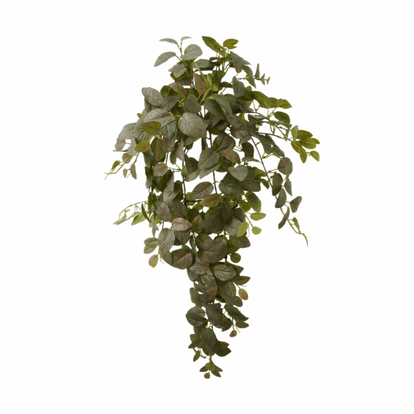 FITTONIA (REAL TOUCH)