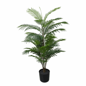 ARECA PALM