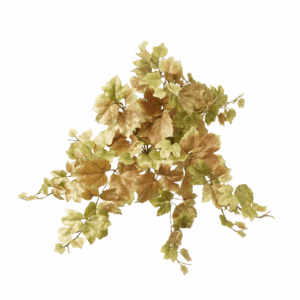 FALL GRAPE LEAF