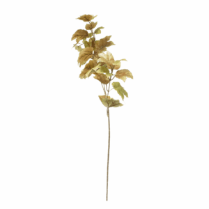 FALL GRAPE LEAF