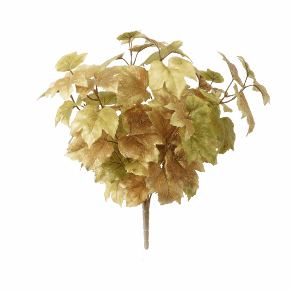 FALL GRAPE LEAF