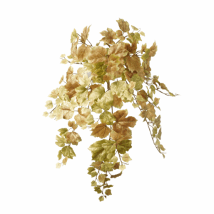 FALL GRAPE LEAF