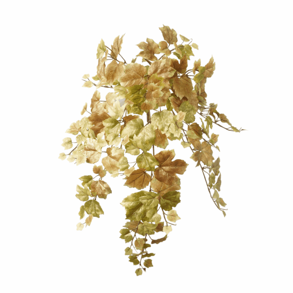 FALL GRAPE LEAF