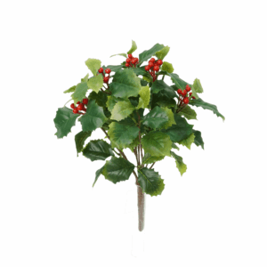 HOLLY LEAF