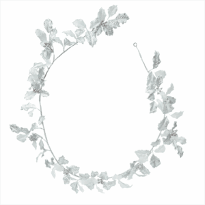 HOLLY LEAF