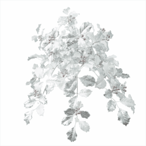 HOLLY LEAF
