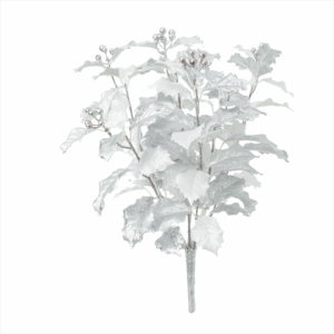 HOLLY LEAF
