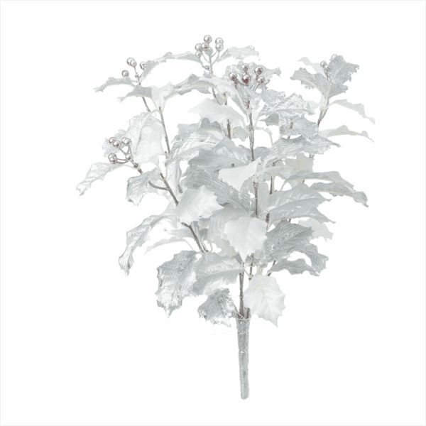 HOLLY LEAF