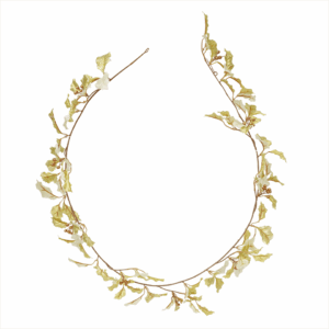 HOLLY LEAF