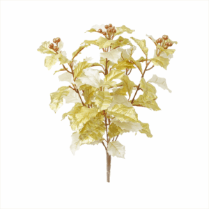 HOLLY LEAF