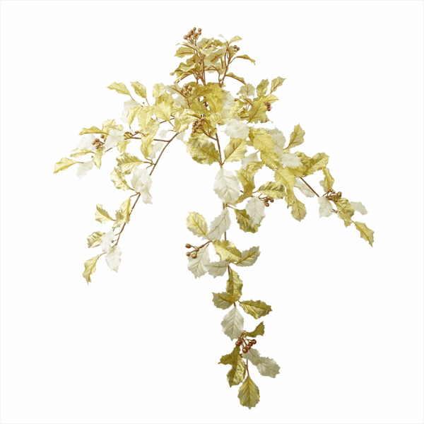 HOLLY LEAF