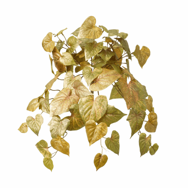 FALL POTATO LEAF