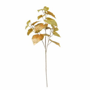 FALL POTATO LEAF